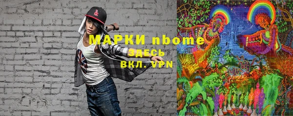 мдпв Богородицк