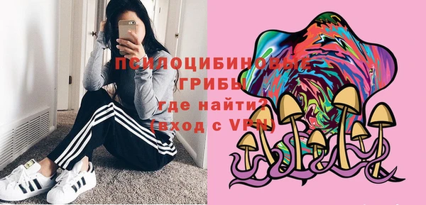 мдпв Богородицк