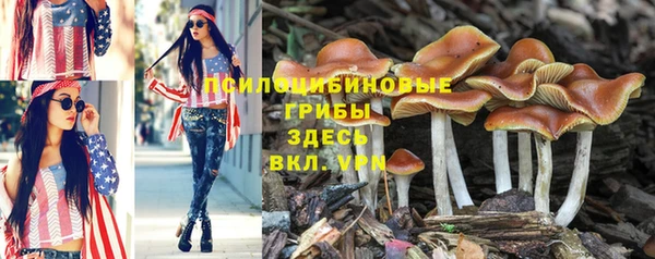 марихуана Богородск
