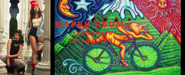 мдпв Богородицк