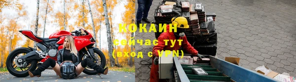 мет Богданович