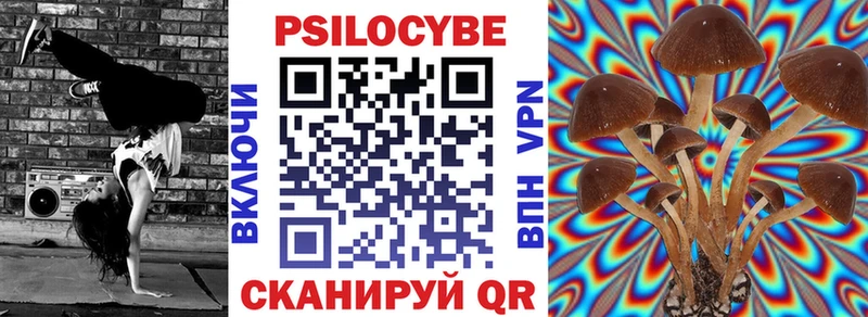 где купить   Красноярск  Псилоцибиновые грибы Cubensis 